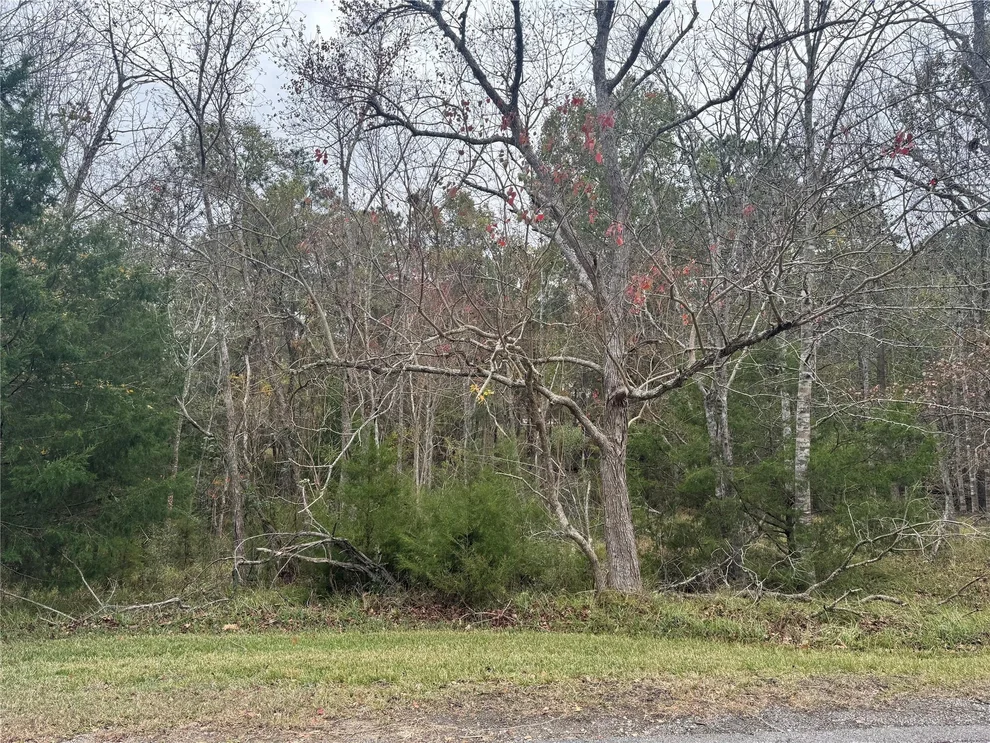 Unit for sale at 22 S Forest Cove Loop, Coldspring, TX 77331