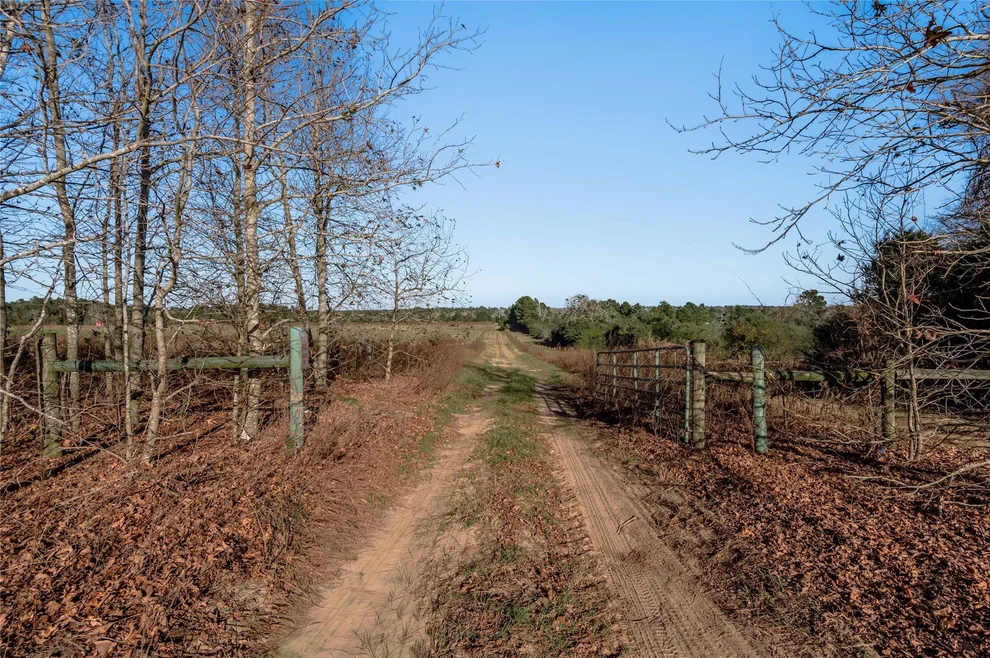 Unit for sale at TBD County Road 204, Centerville, TX 75833