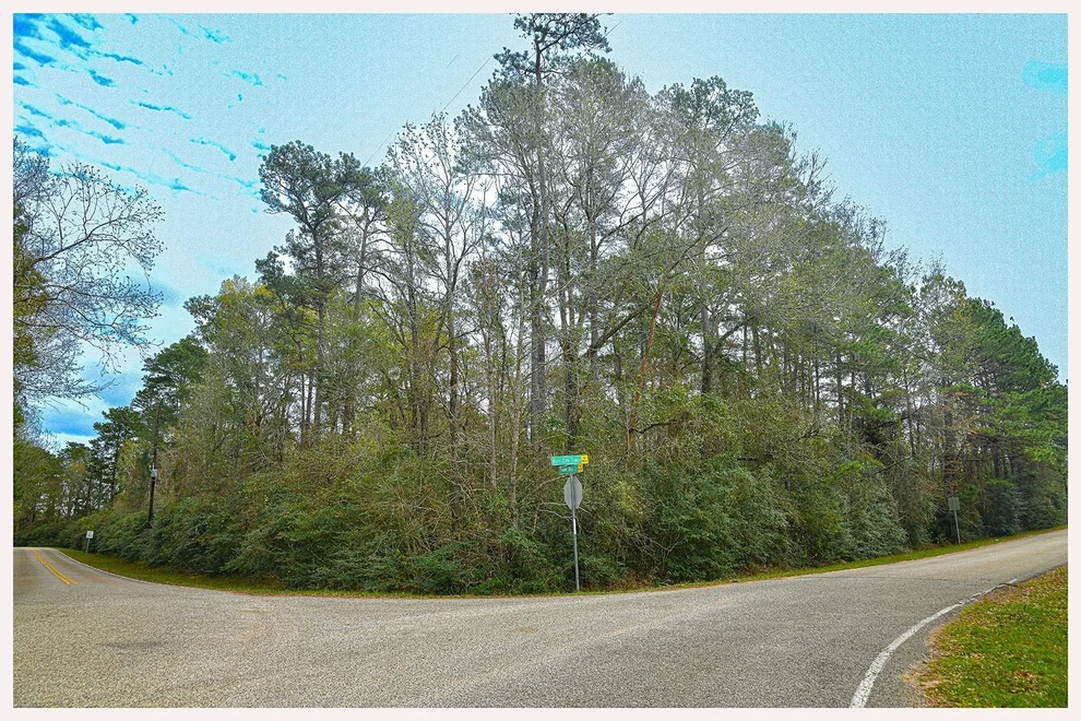 Unit for sale at 7318 Burr Oak Trace, Magnolia, TX 77354