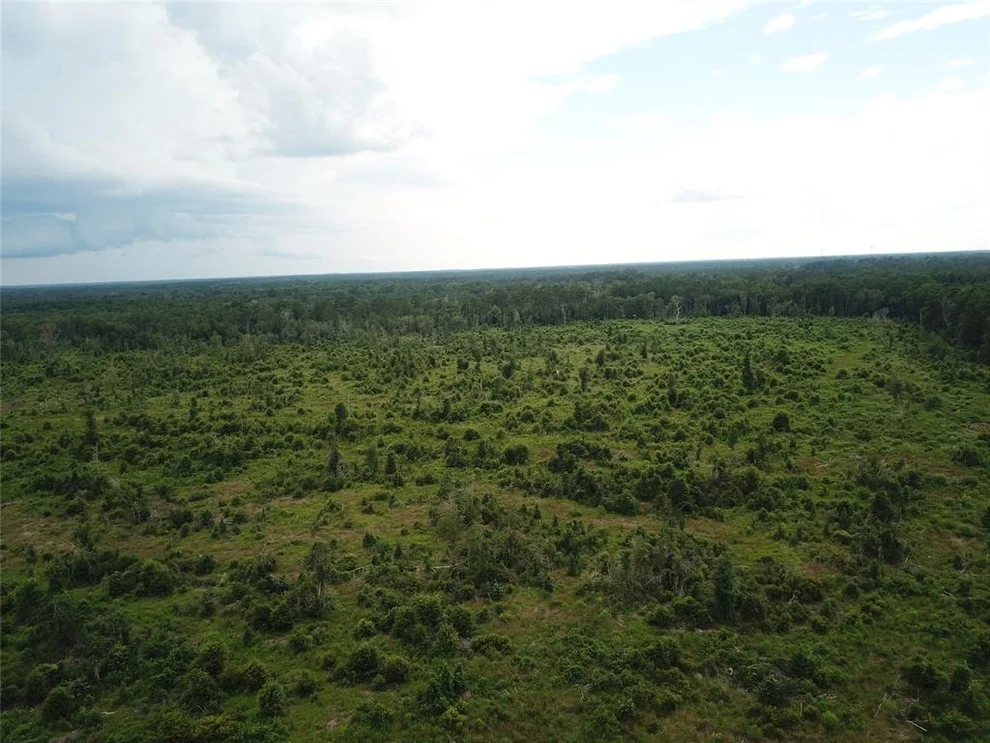 Unit for sale at TBD County Road 3089, Kirbyville, TX 75956