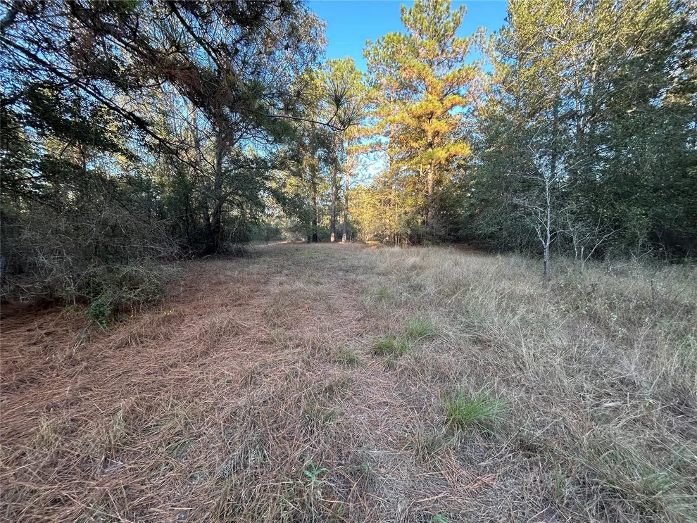 Unit for sale at 700 Pr 8160, Lovelady, TX 75851