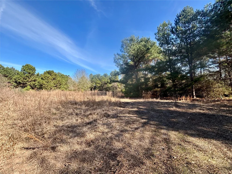 Unit for sale at TBD Cr 300, Oakwood, TX 75855