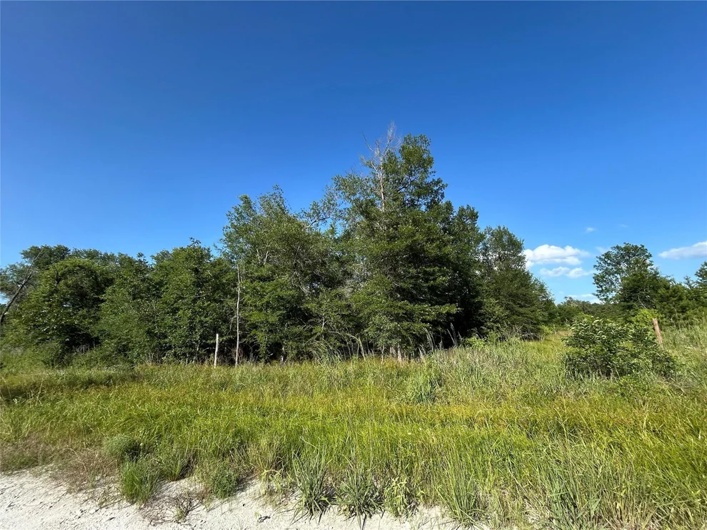 Unit for sale at Tract 35 Fm 230, Lovelady, TX 77854