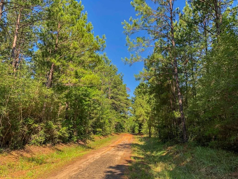 Unit for sale at 0 Cr 368, Zavalla, TX 75980