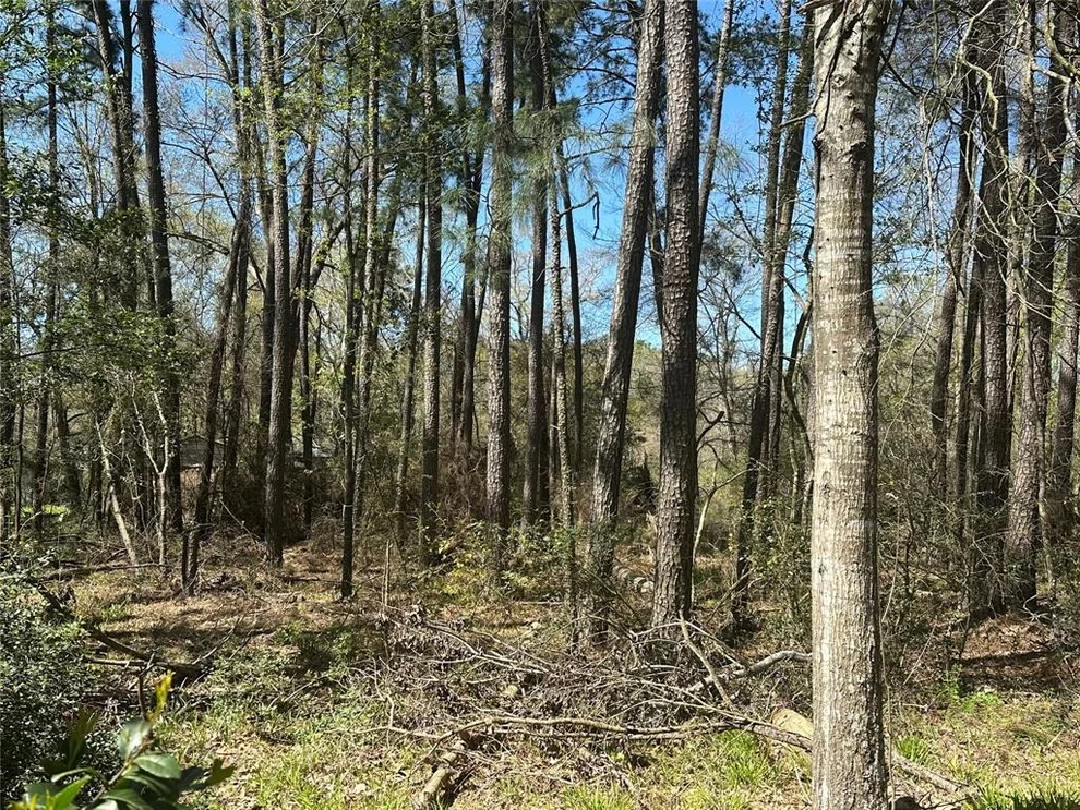Unit for sale at 518 Old Magnolia Road, Conroe, TX 77304