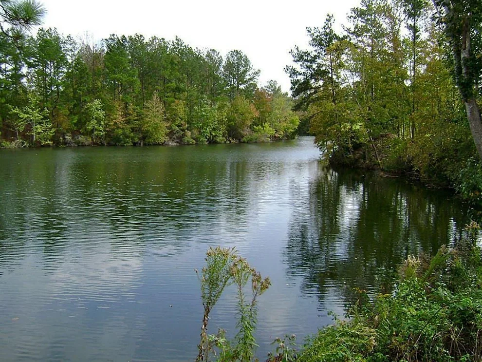 Unit for sale at 47 Deer Ridge, Cleveland, TX 77327