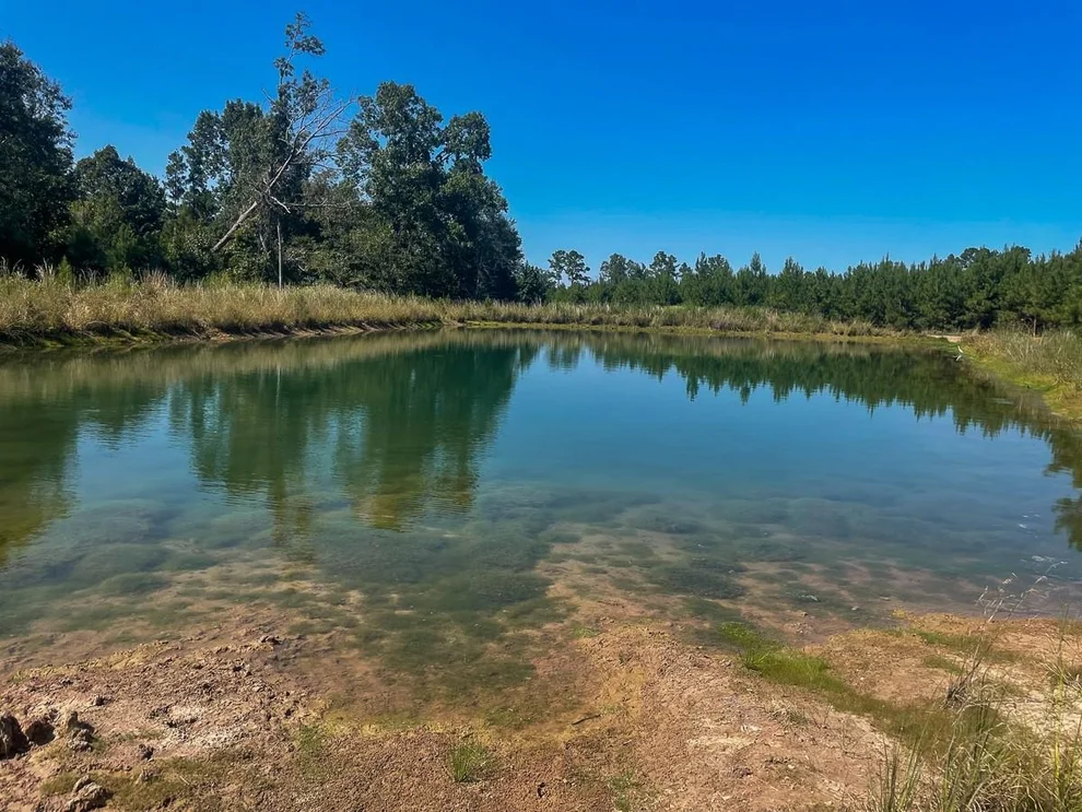 Unit for sale at 00 Union Springs Road, Corrigan, TX 75939