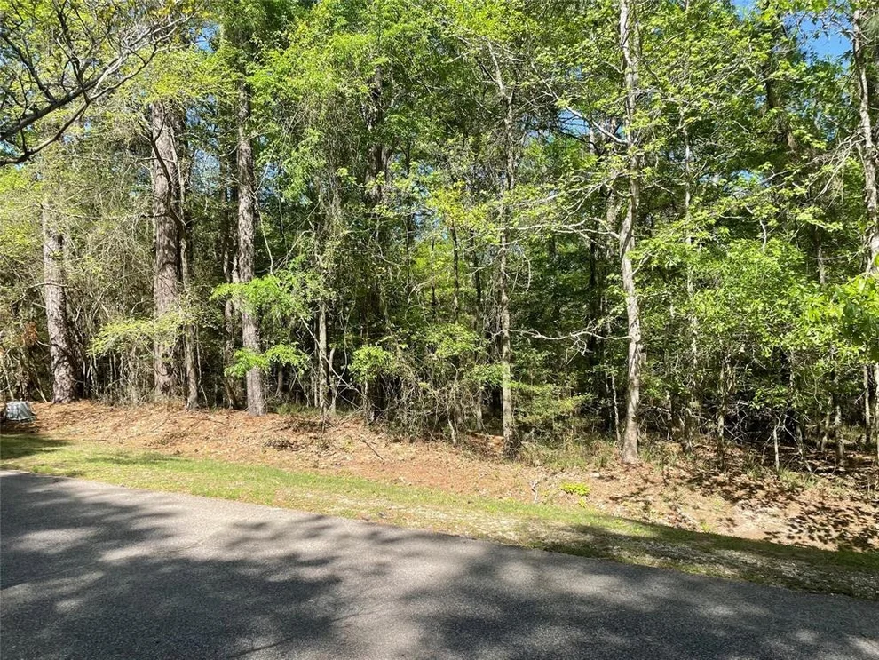 Unit for sale at 262 Twinstone Drive, Coldspring, TX 77331