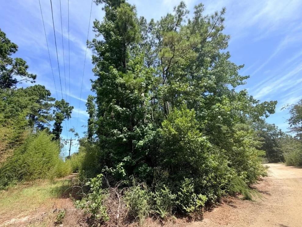 Unit for sale at .44 AC Fm 3414, Jasper, TX 75951