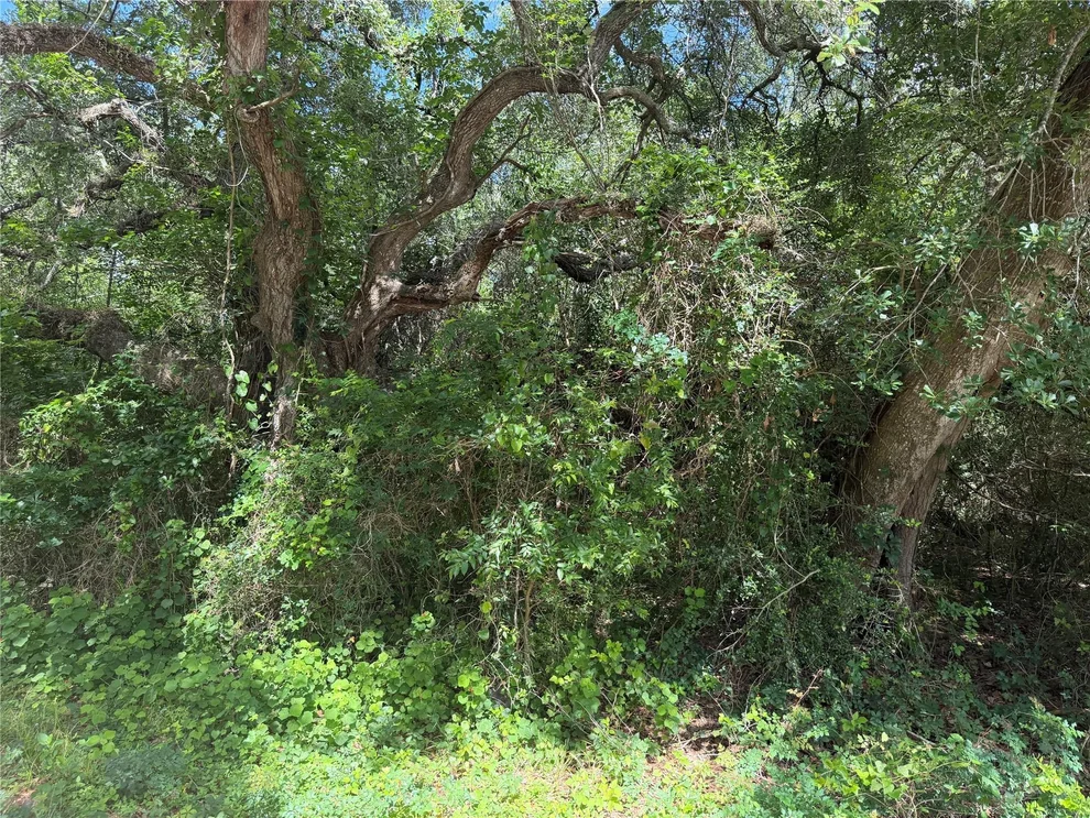 Unit for sale at LOT 529 Grand Oak Street, Palacios, TX 77465