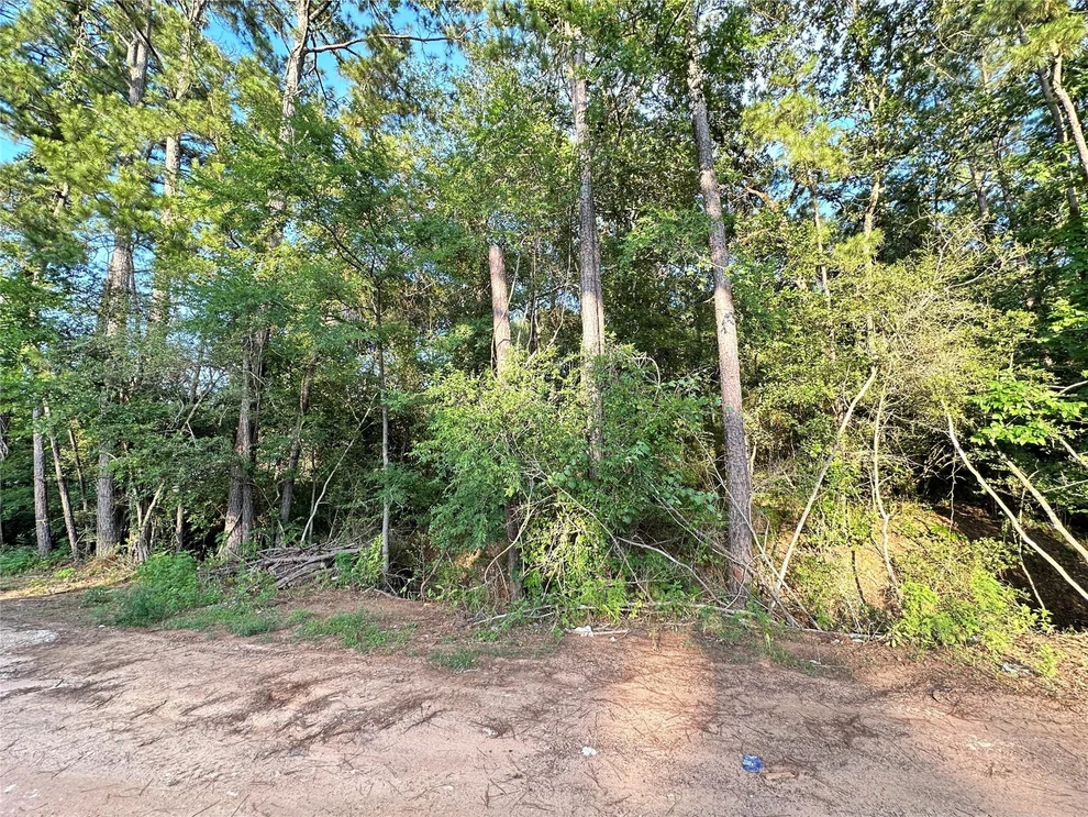 Unit for sale at 0 Scarlet Oak Drive, Plantersville, TX 77363