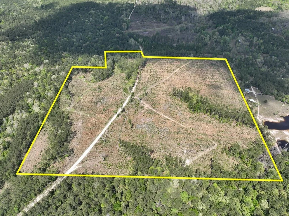 Unit for sale at 000 County Road 2834, Colmesneil, TX 75938