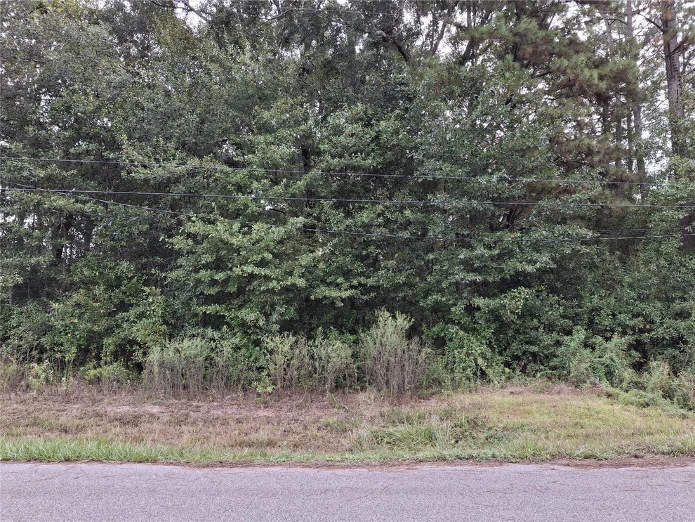 Unit for sale at 0 County Road 3313, Cleveland, TX 77327
