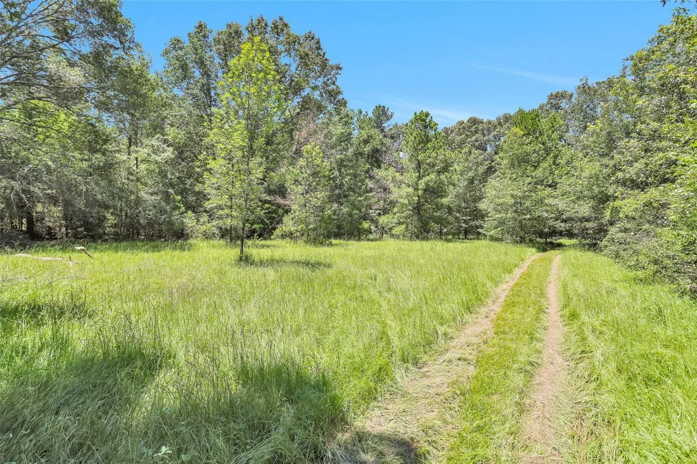 Unit for sale at TBD Bill Adams Road, Kennard, TX 75847