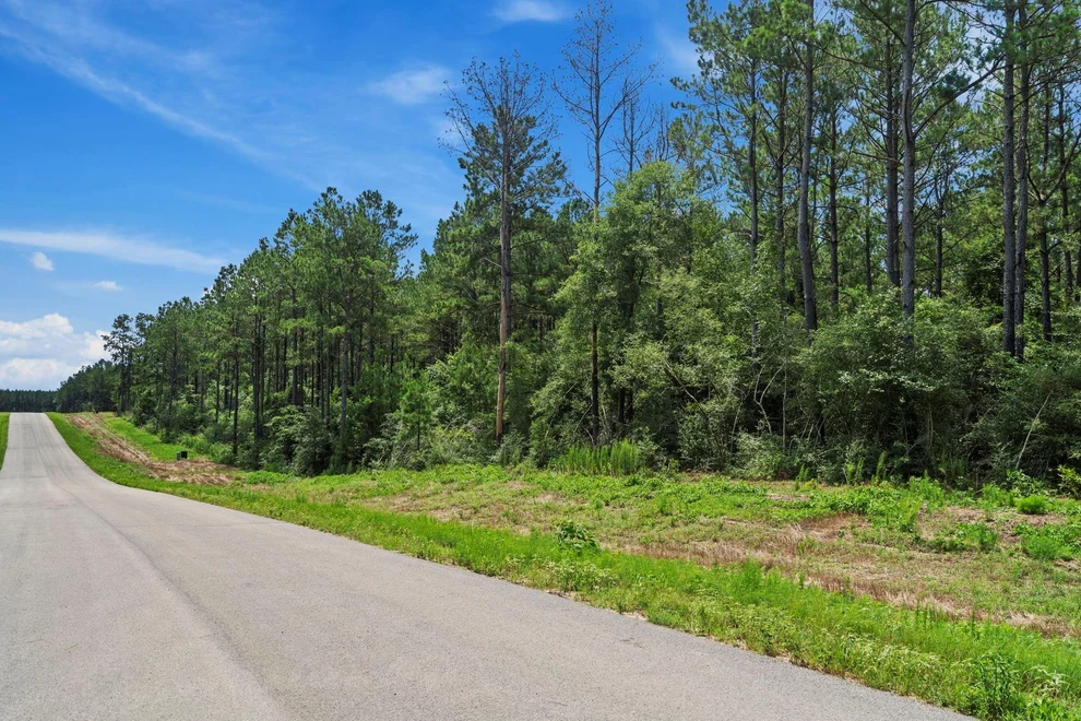 Unit for sale at 16303 Golden Wood Court, Willis, TX 77378