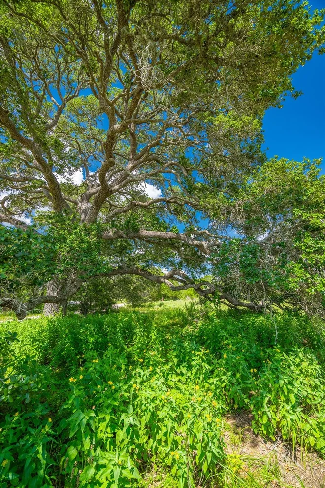 Unit for sale at 0 County Road 146, Hallettsville, TX 77964