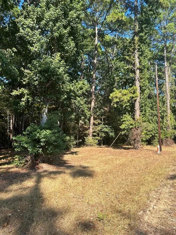 Unit for sale at 606162 Grand Pine Circle, Livingston, TX 77351