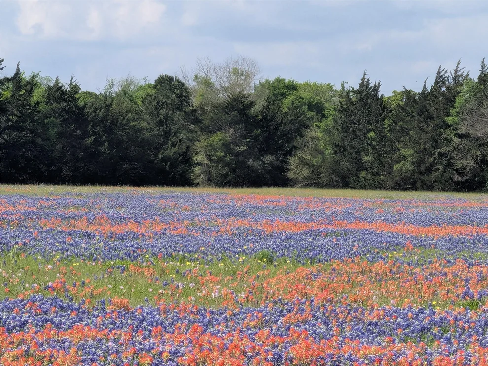 Unit for sale at 0010 Fm 2562 Road, Anderson, TX 77830