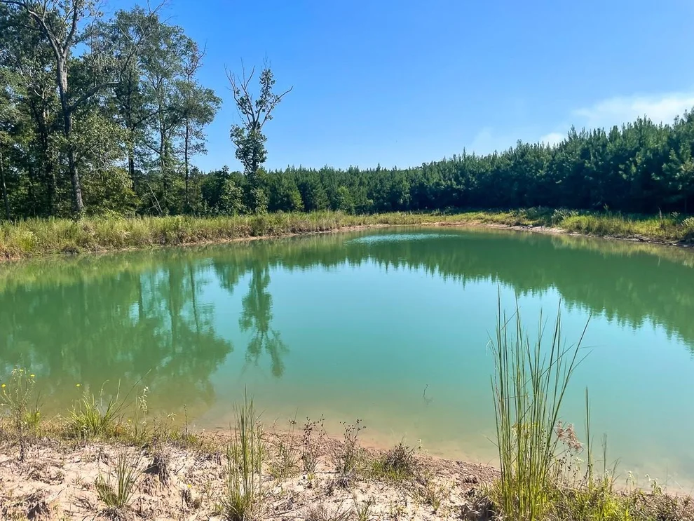 Unit for sale at TBD Union Springs Rd, Corrigan, TX 75939