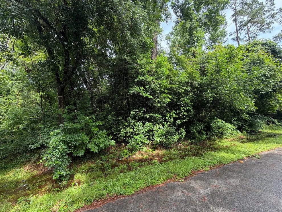 Unit for sale at Lot 20 Idlewild Road, New Caney, TX 77357