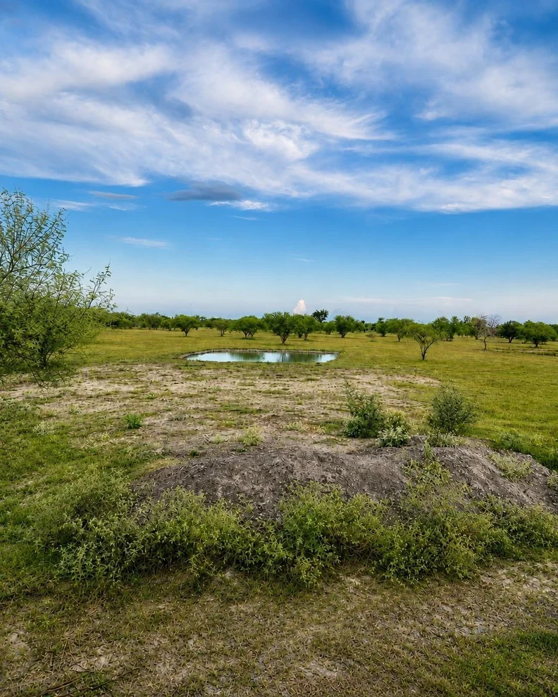 Unit for sale at 13510 Moody Road, Needville, TX 77461