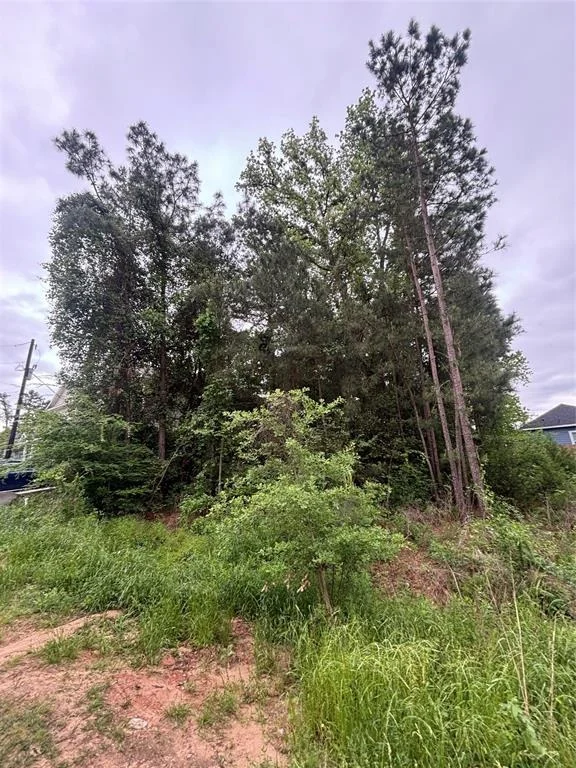 Unit for sale at 16935 Balmoral Street, Montgomery, TX 77316