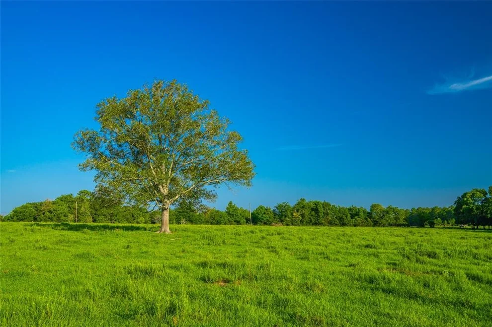 Unit for sale at 0 Farm To Market 256, Woodville, TX 75979