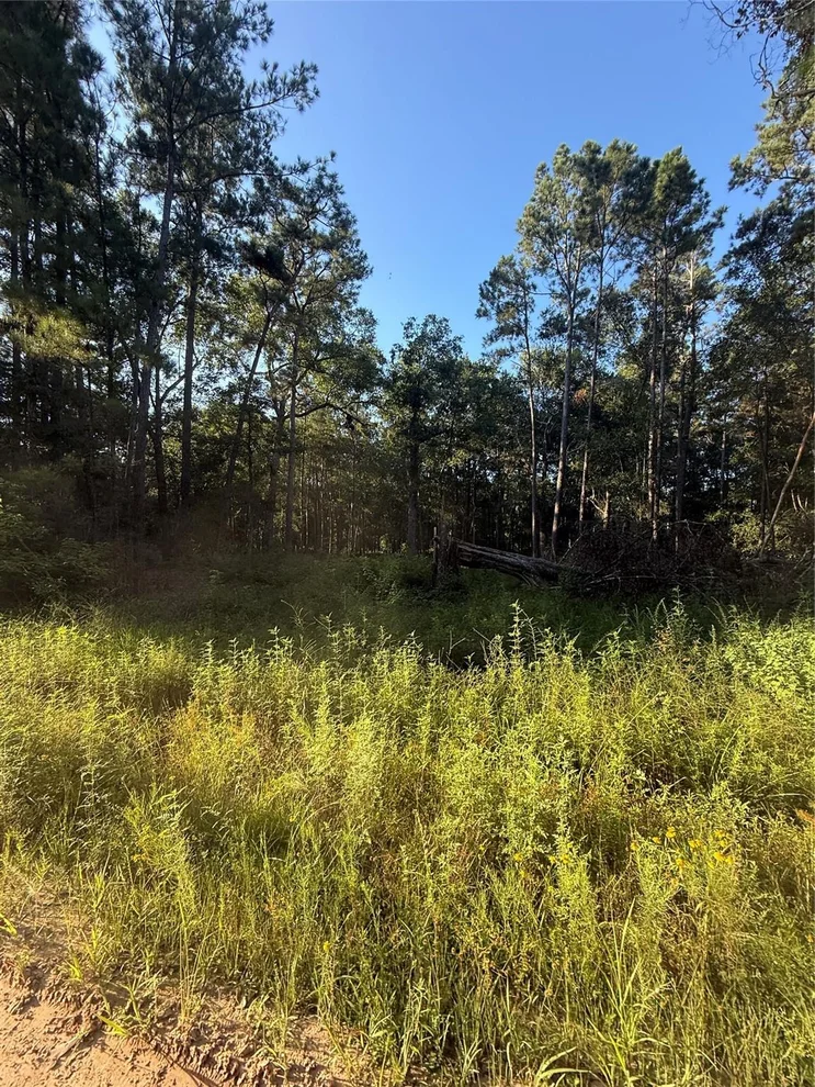 Unit for sale at TBD Charlie Pride Drive, Livingston, TX 77351