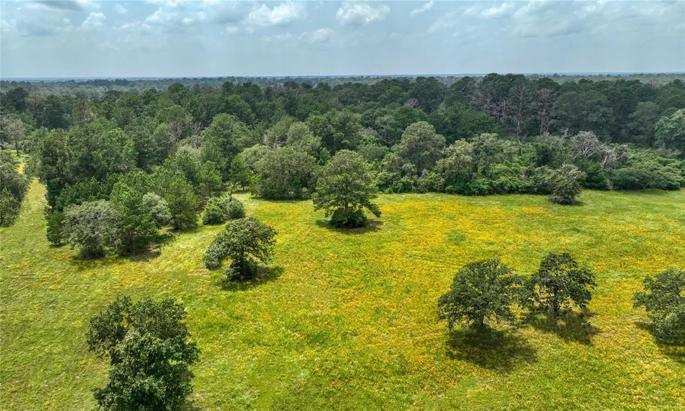 Unit for sale at 4749 Highway 36 N, Bellville, TX 77418