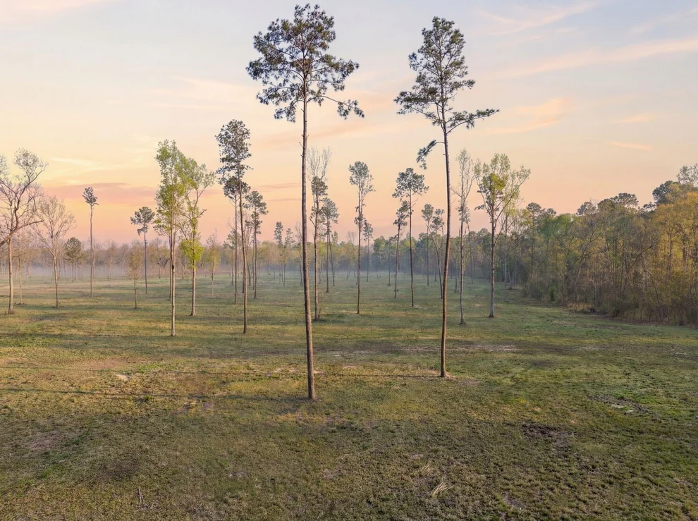 Unit for sale at Lot 4 Johnson Drive, Livingston, TX 77351