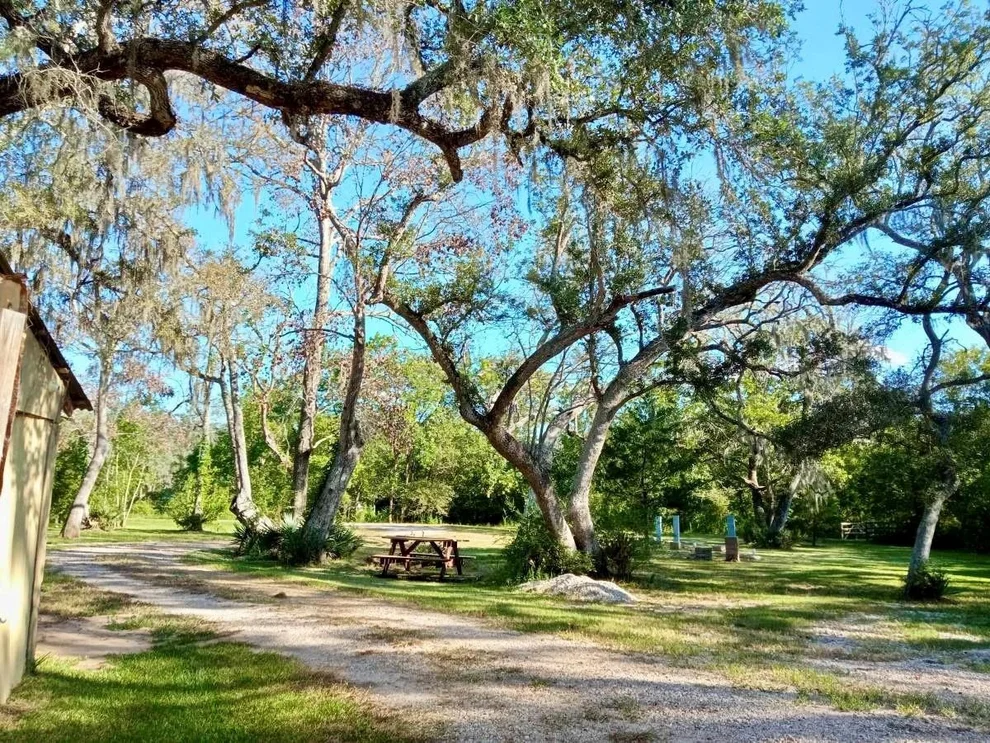 Unit for sale at 17628 County Road 426, Brazoria, TX 77422