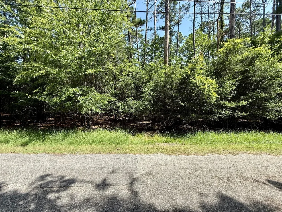 Unit for sale at 155 W Lake Drive, Houston, TX 77336