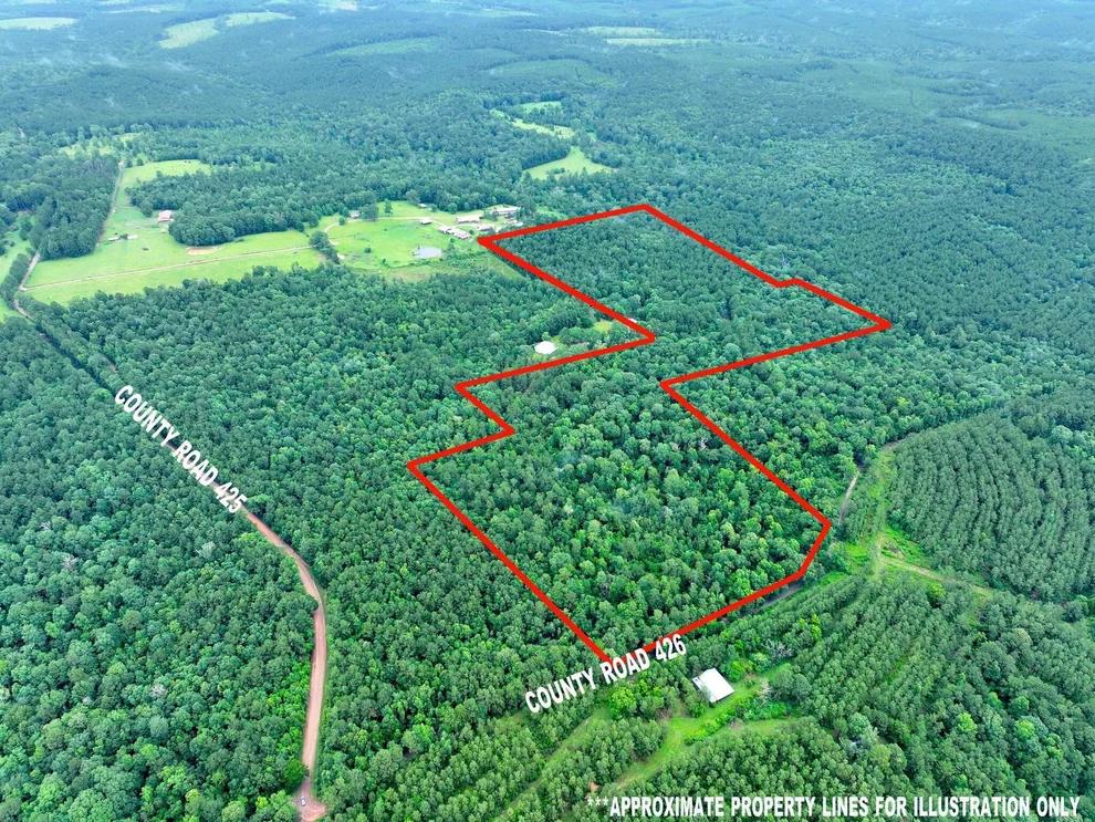 Unit for sale at 5129 County Road 425, Jasper, TX 75951