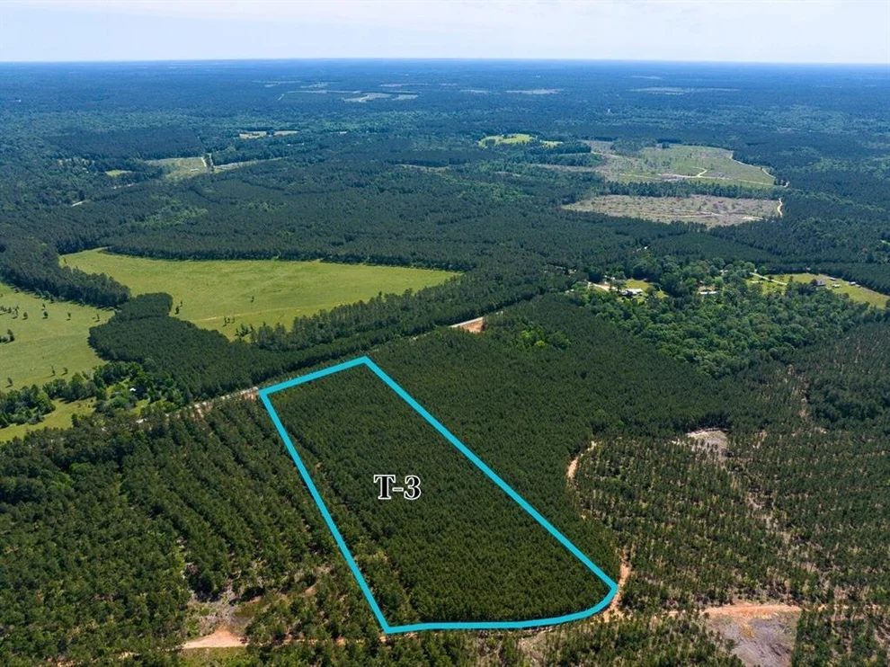 Unit for sale at 3 Camp Ruby Road, Livingston, TX 77351