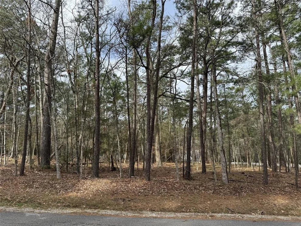 Unit for sale at 91 S Fairway Loop, Coldspring, TX 77331