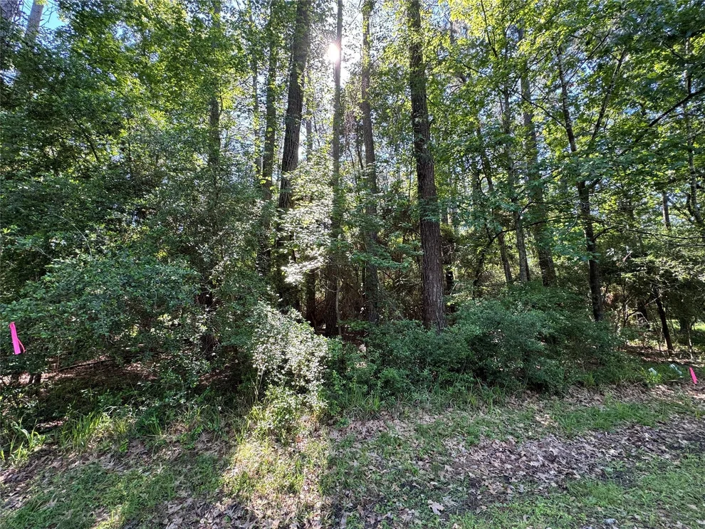 Unit for sale at 16 Forrest Hollow, Trinity, TX 75862