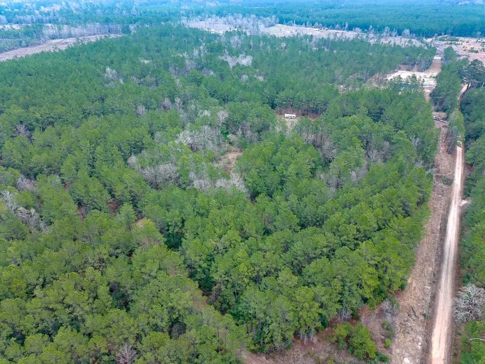 Unit for sale at 209 Joskey Dykes Road, Zavalla, TX 75980