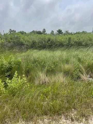 Unit for sale at 0 S Sonny Ln, Galveston, TX 77554