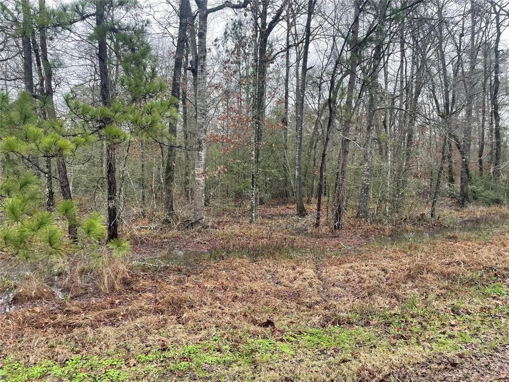 Unit for sale at 0 Southland, Livingston, TX 77351