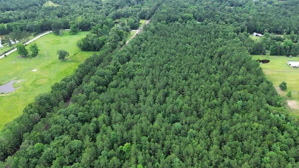 Unit for sale at 9087 County Road 451, Kirbyville, TX 75956