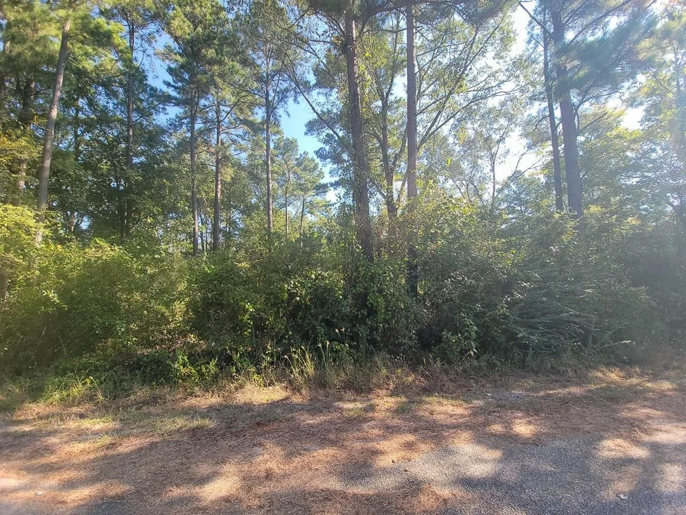 Unit for sale at 30 Jeffery Drive, Huntsville, TX 77320