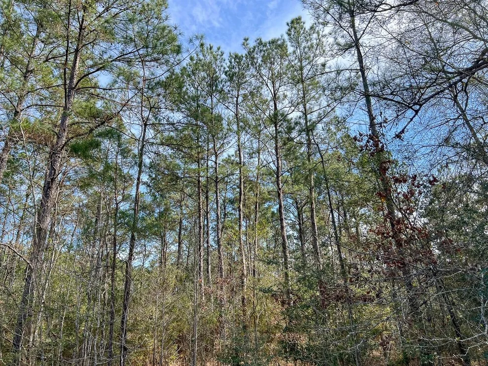 Unit for sale at T2 Zavalla Road, Mauriceville, TX 77626