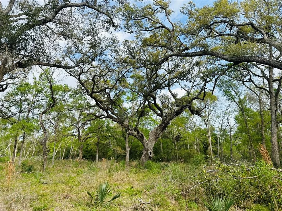 Unit for sale at Tract 5-6 Private Road 648 Street, Bay City, TX 77414