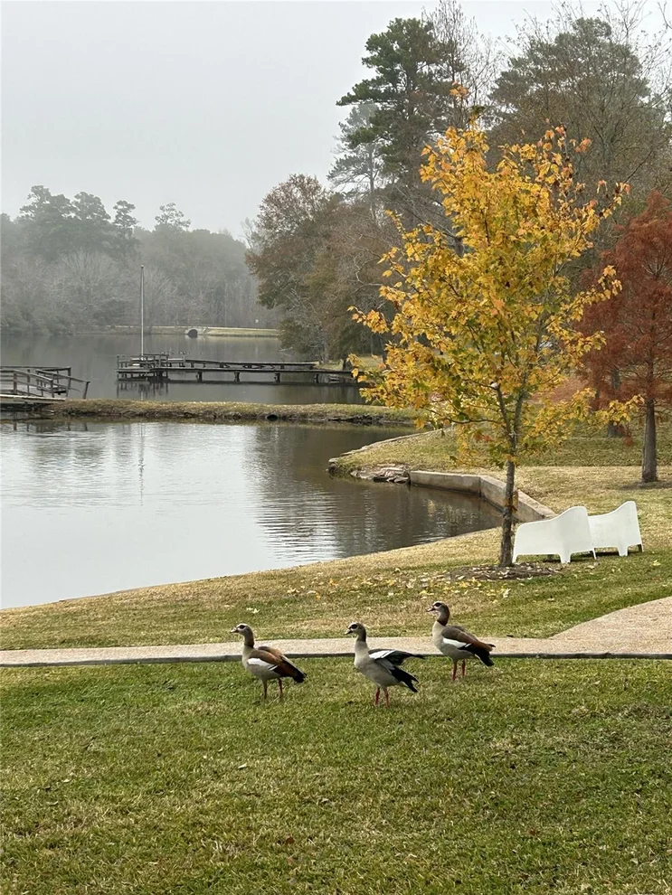 Unit for sale at 130 Sunset Lake, Huntsville, TX 77340