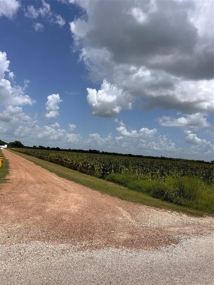 Unit for sale at Lot 1 Tract 2 Svoboda Road, Wallis, TX 77485