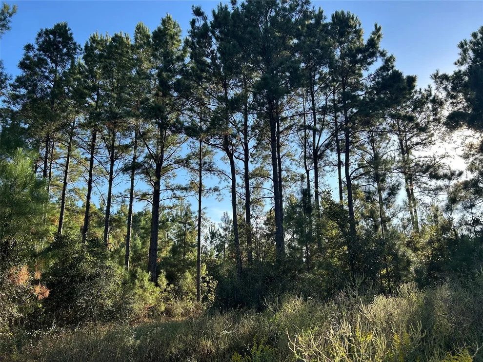 Unit for sale at Tract 11 Fm 230, Lovelady, TX 77854