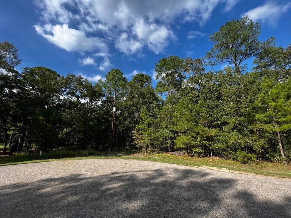 Unit for sale at 11805 White Oak Pass, Conroe, TX 77385