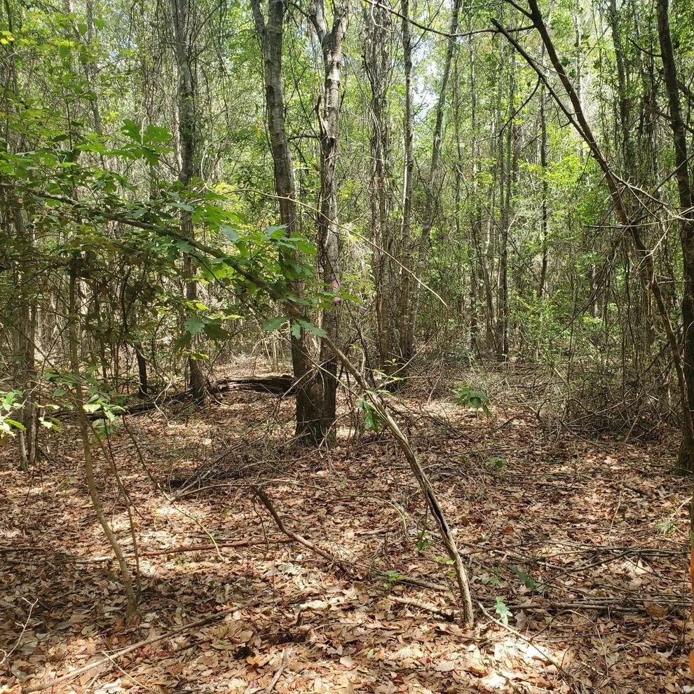 Unit for sale at 0000 Cr 2090, Splendora, TX 77372