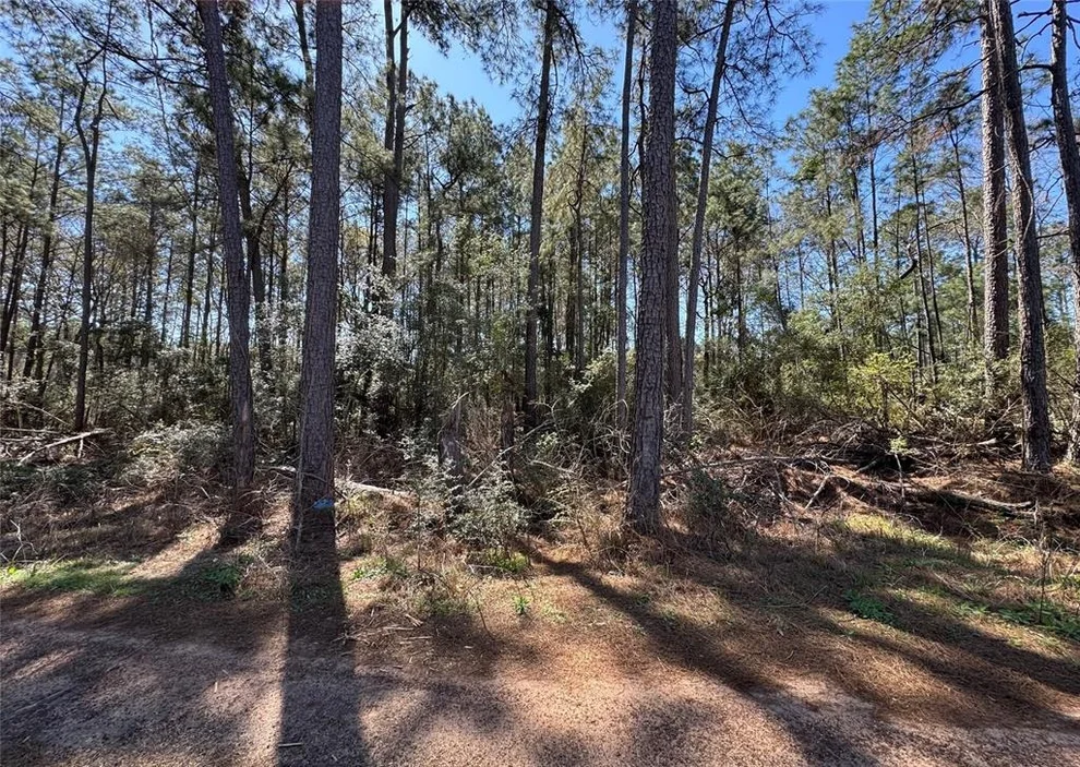 Unit for sale at TBD Hawthorne Lane, Plantersville, TX 77363