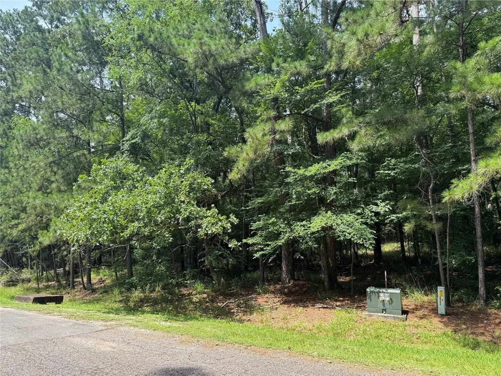 Unit for sale at 75 Green Tree Drive, Coldspring, TX 77331